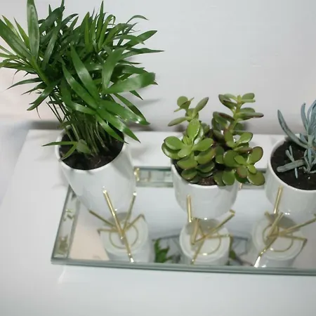 玛琳尼莎公寓 公寓 *