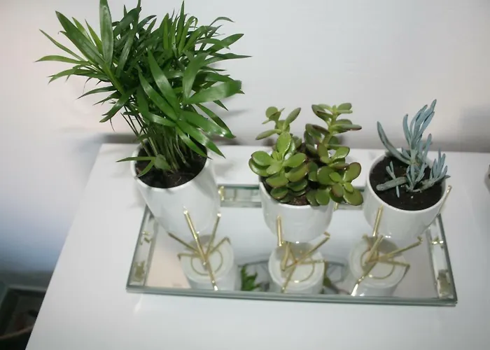 Marinesa 아파트 *