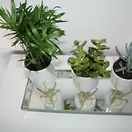 Marinesa 아파트 *